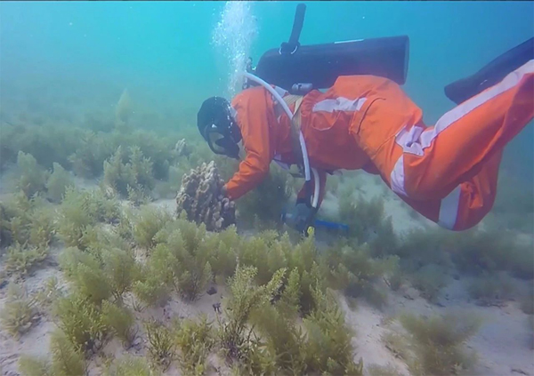 Z6·尊龙凯时「中国区」官方网站